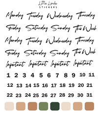 2023 November | Cozy Home