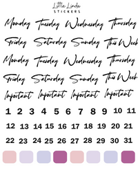 2023 Jan - New Beginnings