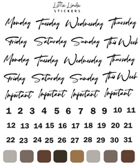 2023 March | Minimalist