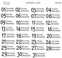 2026 | Back to Basics - DAILYS (Large)