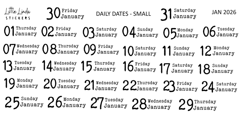 2026 | Back to Basics - DAILYS (Mini)