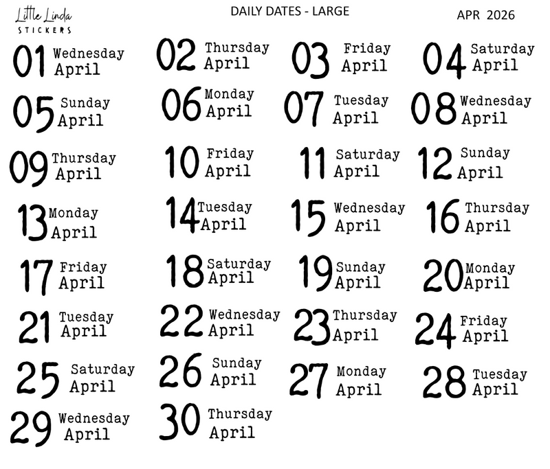 2026 | Back to Basics - DAILYS (Large)