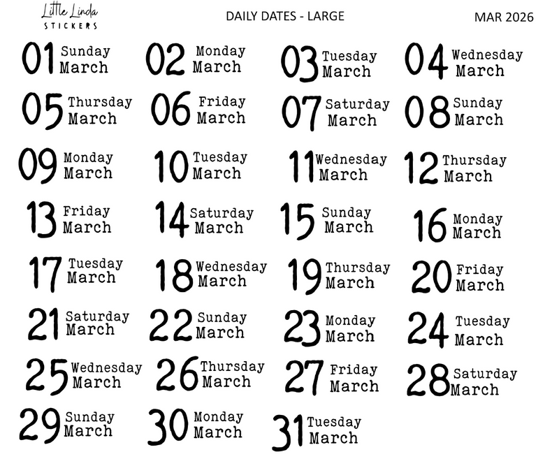 2026 | Back to Basics - DAILYS (Large)