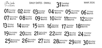 2026 | Back to Basics - DAILYS (Mini)
