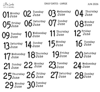 2026 | Back to Basics - DAILYS (Large)