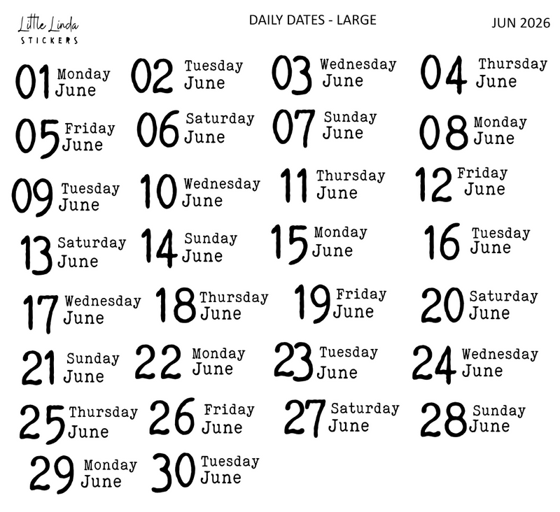 2026 | Back to Basics - DAILYS (Large)