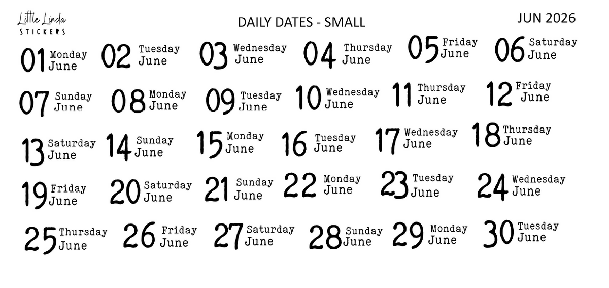 2026 | Back to Basics - DAILYS (Mini)