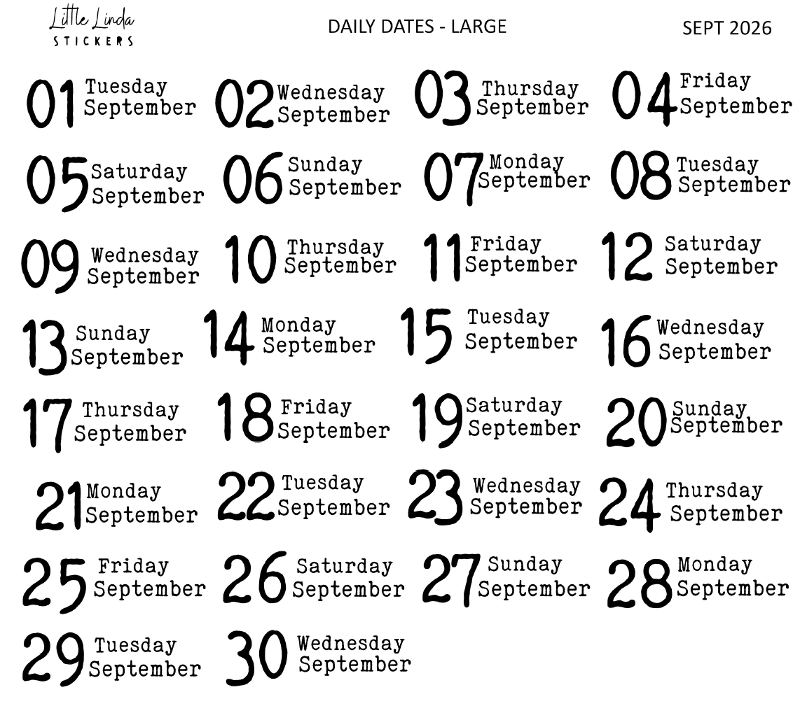 2026 | Back to Basics - DAILYS (Large)