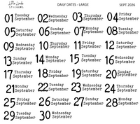 2026 | Back to Basics - DAILYS (Large)
