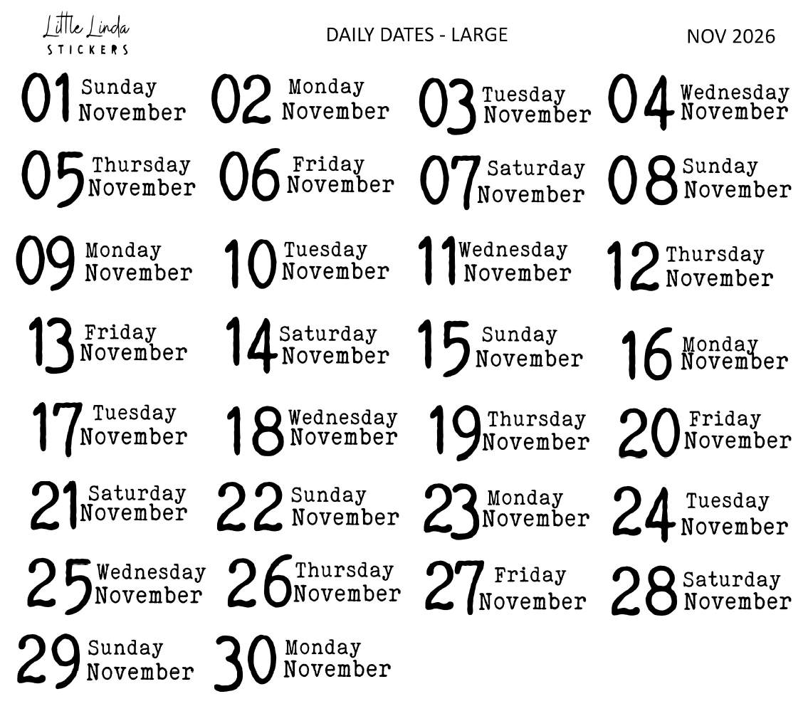 2026 | Back to Basics - DAILYS (Large)