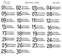 2026 | Back to Basics - DAILYS (Large)
